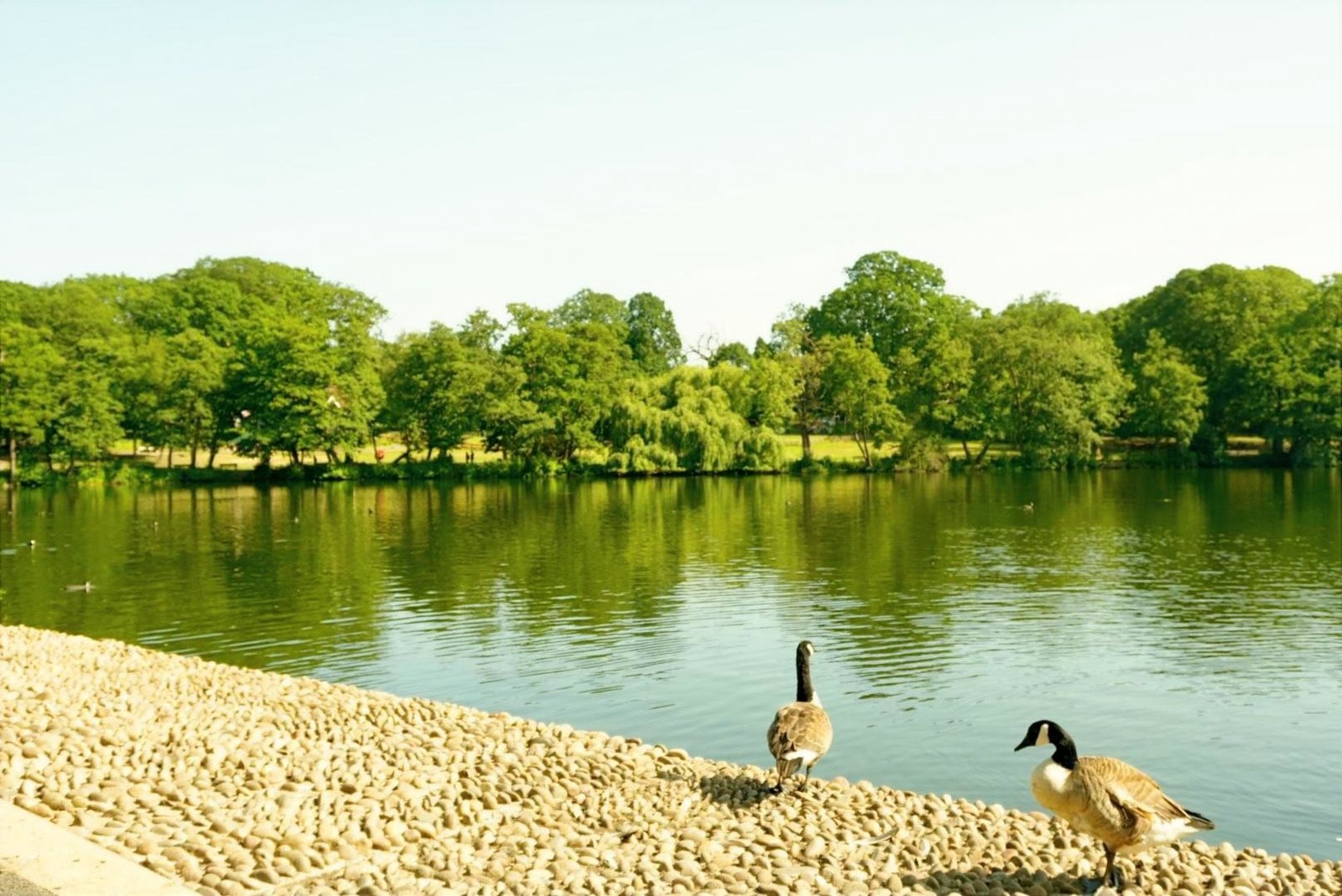 Southgate